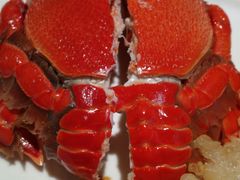 -亮马河饭店翠雅咖啡厅