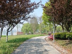 -西山漾湿地公园