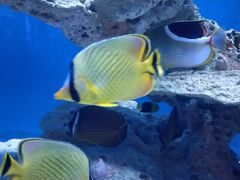 -海合安武汉极地海洋公园