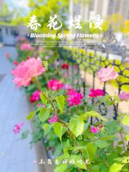 点击看大图 -月之旅·尊 高端月子会所(科馨别墅一店)