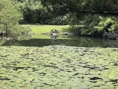 -杭州植物园