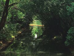 -同里国家湿地公园