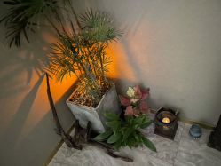 -觅境SPA·私享空间