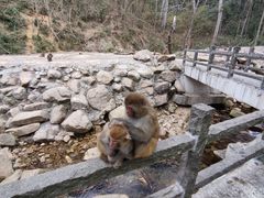 -姑婆山旅游区