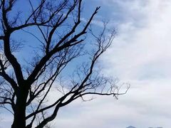 -终南山南五台景区