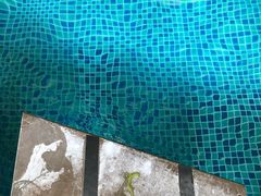 -济南喜来登酒店