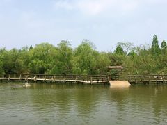 -溱湖国家湿地公园