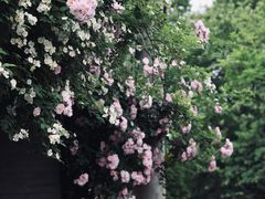 -颐和路民国时期公馆风貌区