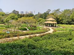 -广西壮族自治区药用植物园