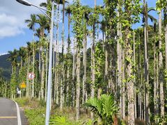 -海南热带雨林国家公园吊罗山景区