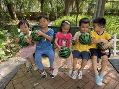 -金点蒙氏国际教育(悠然校区)