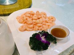 清炒河虾仁-红城阁·上海味道(四平路店)