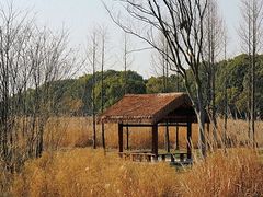 -良渚古城遗址公园