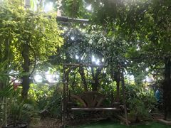 -呀路古热带植物园