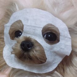 -美酱公社·轻奢美肤中心