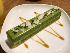 -柴务处·柴犬主题狗咖