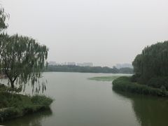 -大兴滨河森林公园