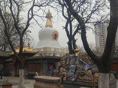 -护国法轮寺