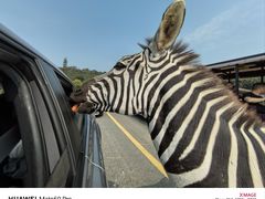 -杭州野生动物世界