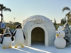 -汕头中海黄金海岸水上乐园