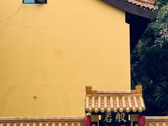 -太子山公园(园东路)