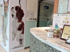 -瑞派申生动物医院·24H夜诊·国际动物医疗中心·骨外科(吴中路店)