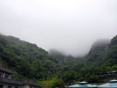 -牛背梁国家森林公园