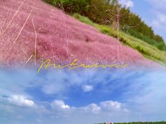-嘉北郊野公园