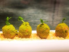 樱桃鹅肝-天瑞轩·粤菜餐厅