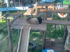 -大连森林动物园