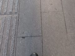 -海尔巴格一甸茶餐厅(团结路店)
