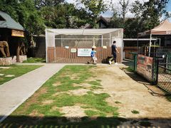 -太阳岛度假酒店