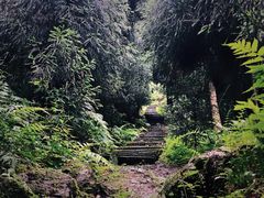 -九峰山