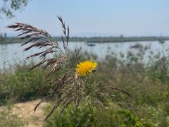 -野鸭湖国家湿地公园