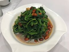 -巴依老爷新疆美食(望京小街店)