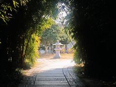 -江心屿景区
