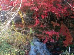 -水绘园