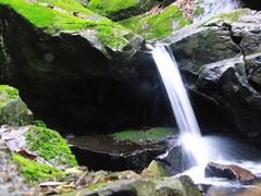 -藏龙百瀑风景区