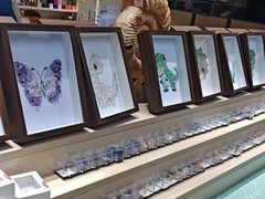 -安徽省地质博物馆