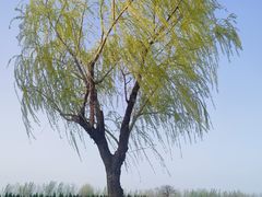 -汉长安城未央宫国家考古遗址公园