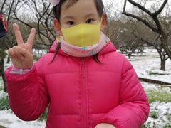 -香雪海