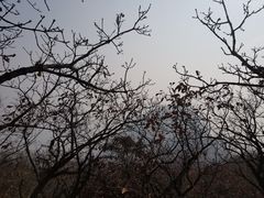 -狼牙山风景区