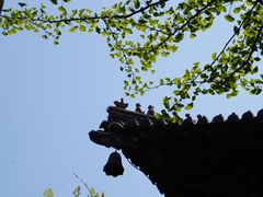 -惠山国家森林公园
