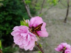 -乌山风景区
