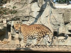 -石家庄市动物园