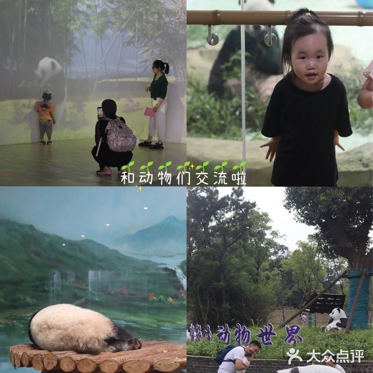 南京紫清湖野生动物世界💕出炉新攻略！超全！