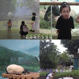 南京紫清湖野生动物世界💕出炉新攻略！超全！