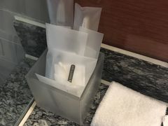 -北京东直门智选假日酒店