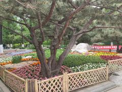 -宣武艺园