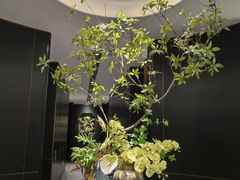 -金春禧(世茂国际广场店)